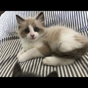 Meet your Posher, Scott